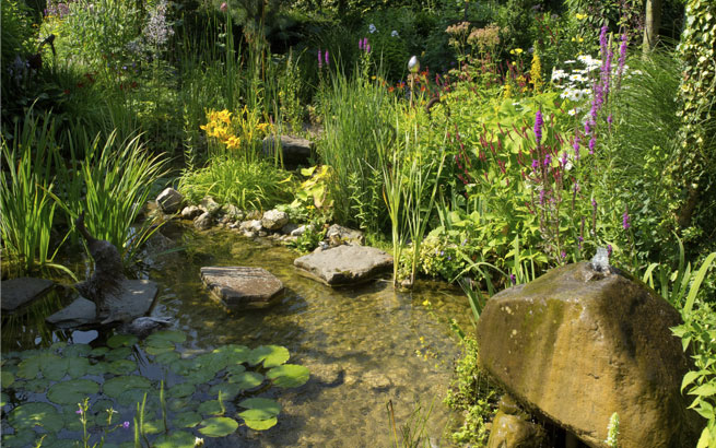 Biotop: natürliches Gewässer im Garten