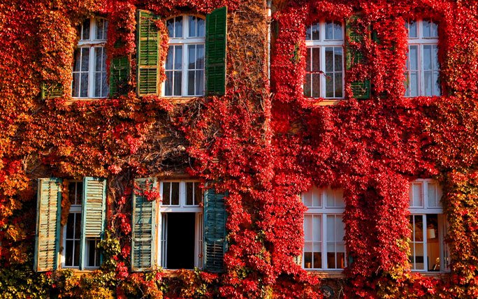 Rote Hauswand im Herbst