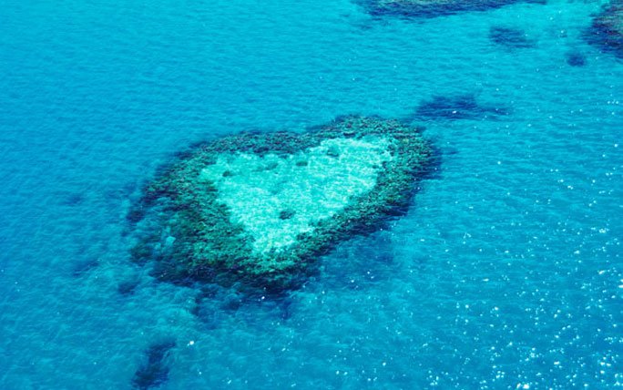 Great Barrier Reef – Spektakuläres Taucherparadies