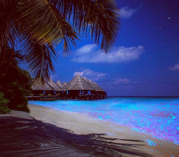 Sea of Stars auf den Malediven