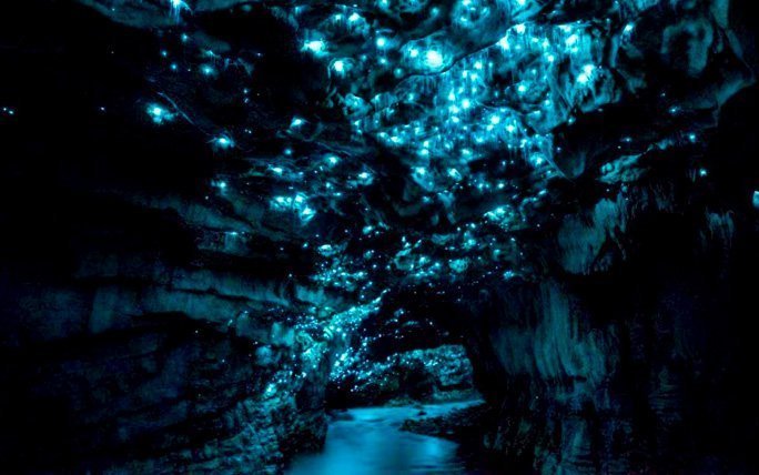 Strahlende Höhle auf Neuseeland