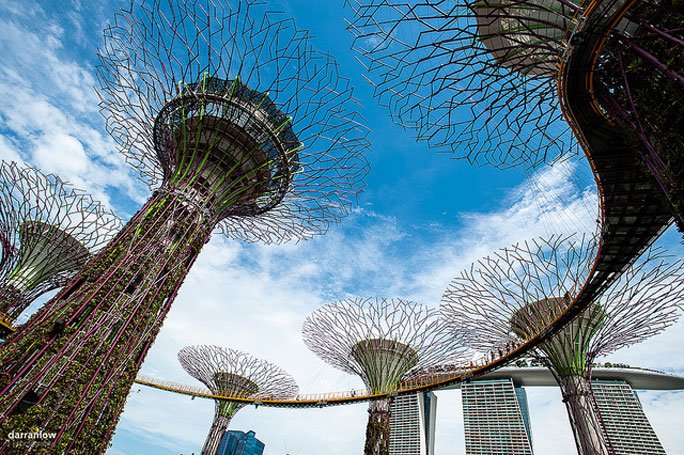 OCBC Skyway Supertrees: Singapur