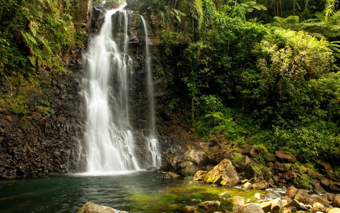 Regenwälder der Fidschi-Inseln – Taveuni
