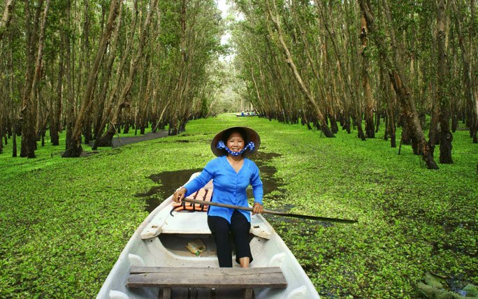 Tra Su Wald im Mekong-Delta