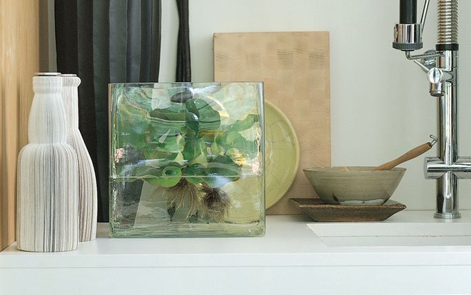 Eckige Vase mit Wasserpflanze