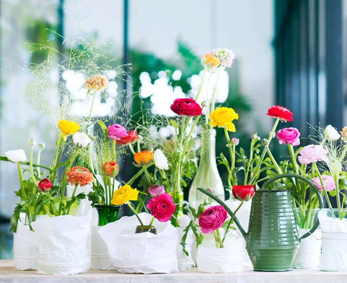 Blumen in verschiedenen Vasen mit Papierhülle