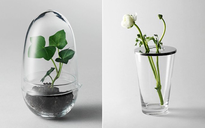 Klare Sicht aufs Grüne: Besondere Vasen aus Glas