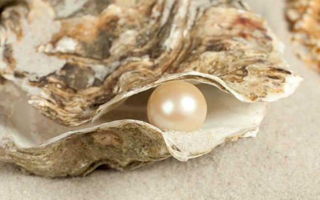 Perlen in der Natur und als Zucht