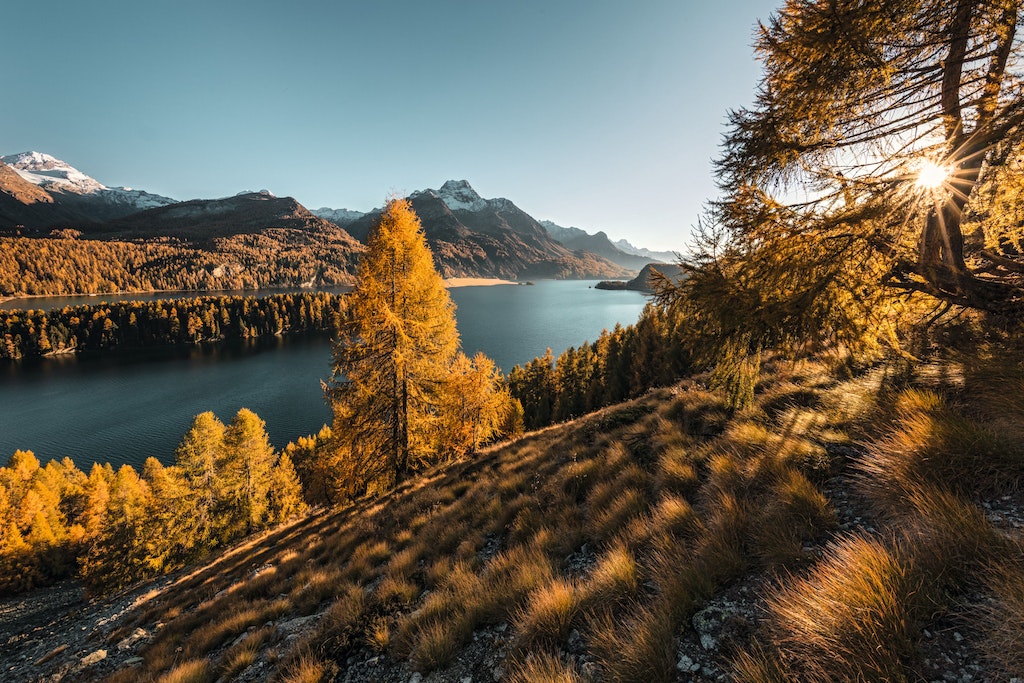 Indian Summer in der Schweiz in Sils.